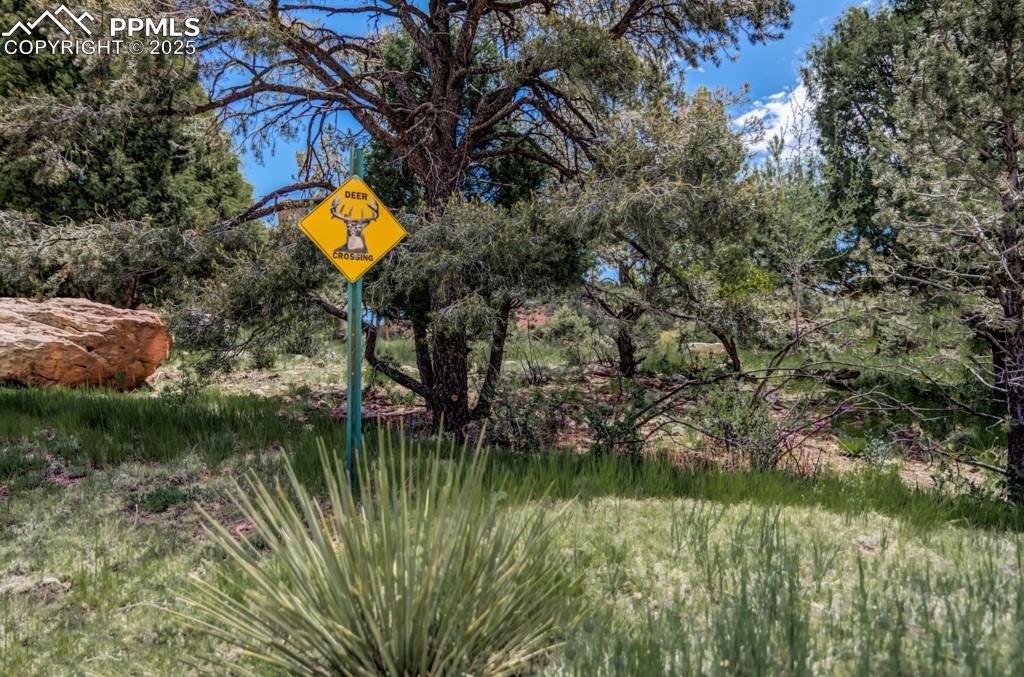 Image 16 of 21: Local wildlife frequently spotted