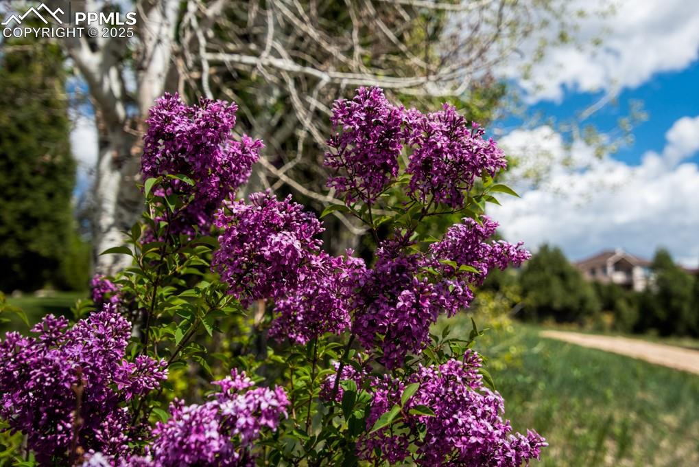 Image 17 of 21: Beautiful natural setting