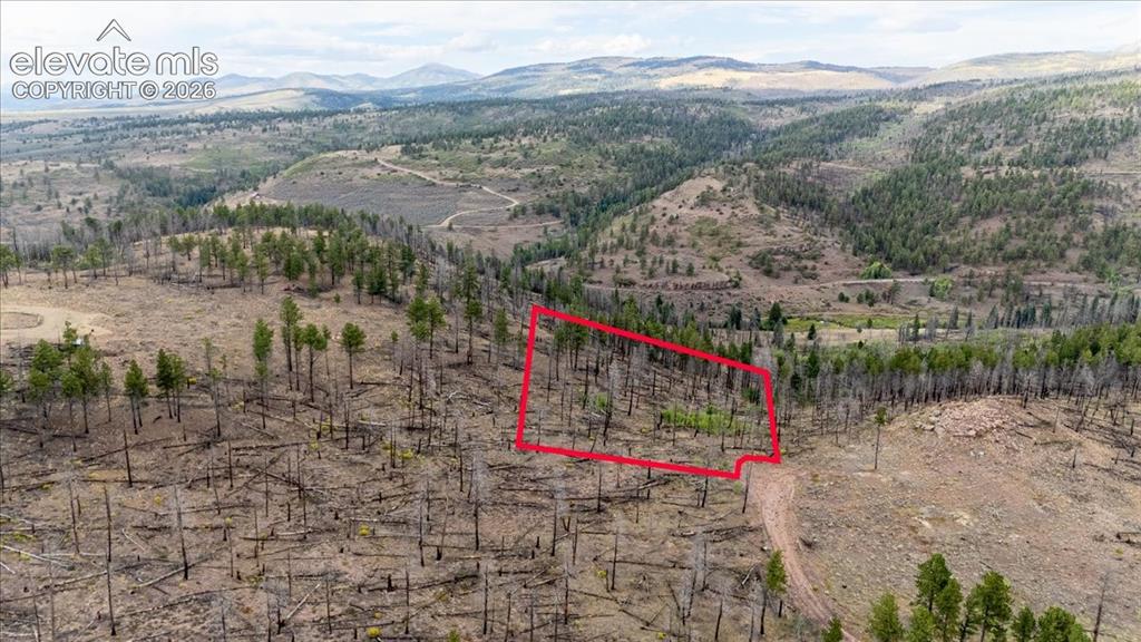 Image 13 of 24: Property lines are approximate and not a survey.