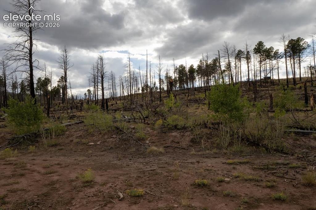 Image 14 of 24: Other