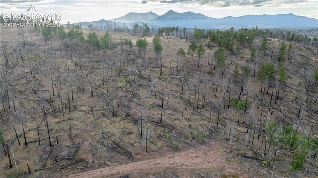 Image 21 of 24: Other