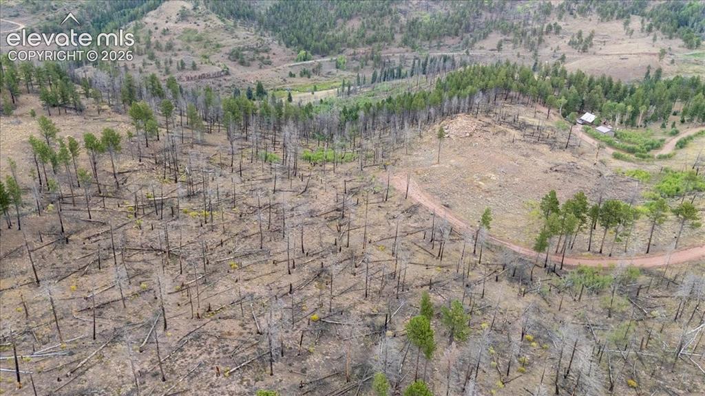 Image 5 of 24: Aerial View