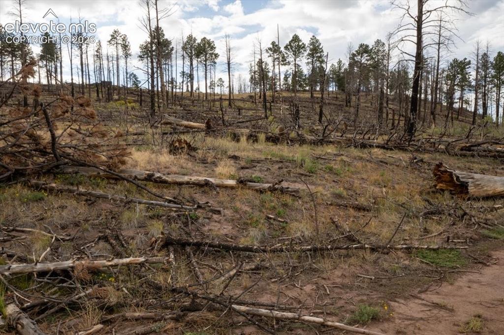 Image 9 of 24: Other