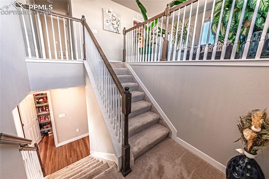 Image 14 of 38: Other