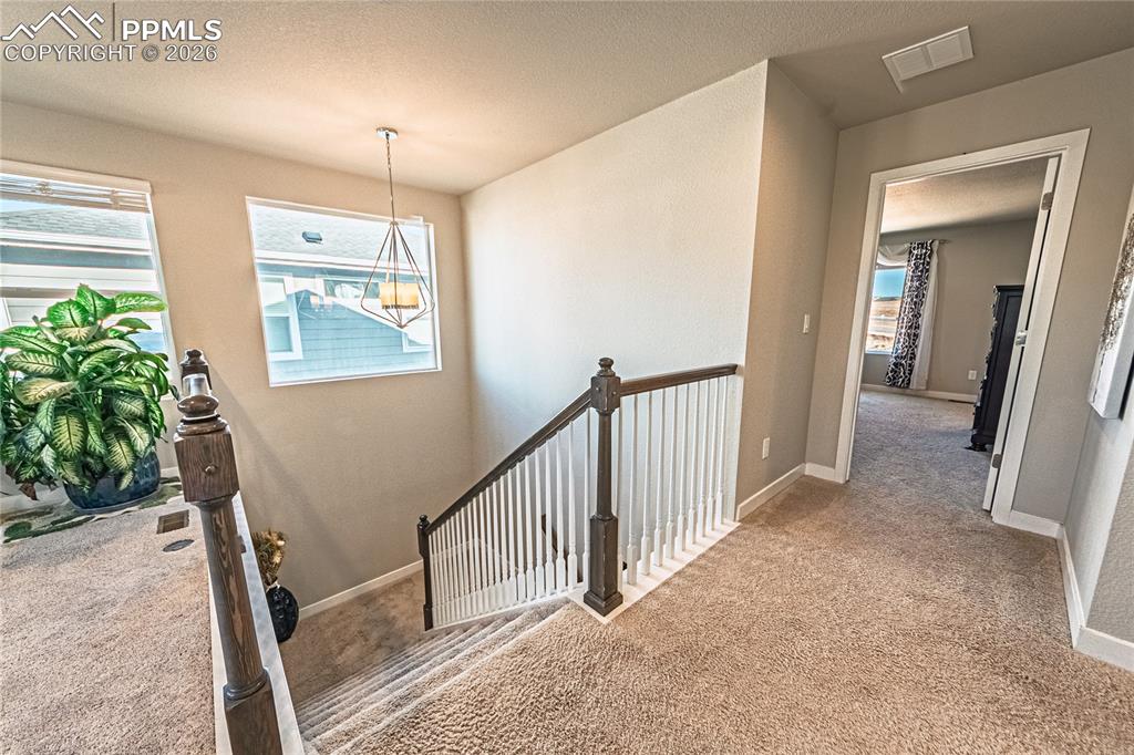 Image 15 of 38: Other