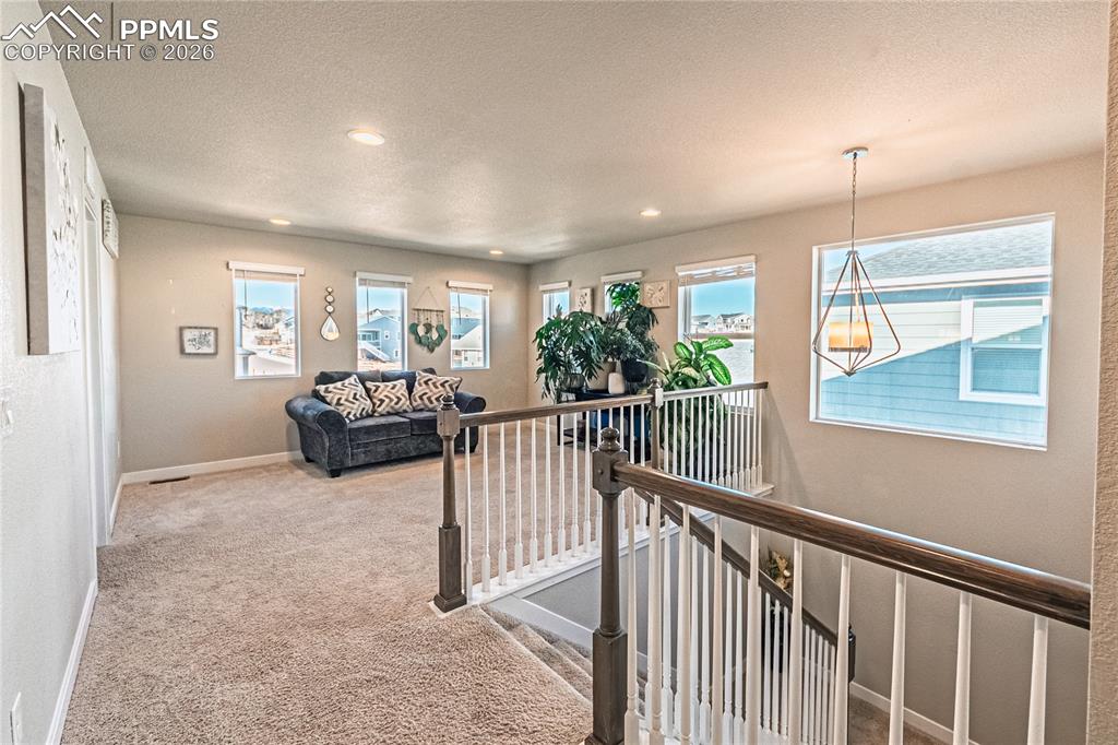 Image 16 of 38: Other