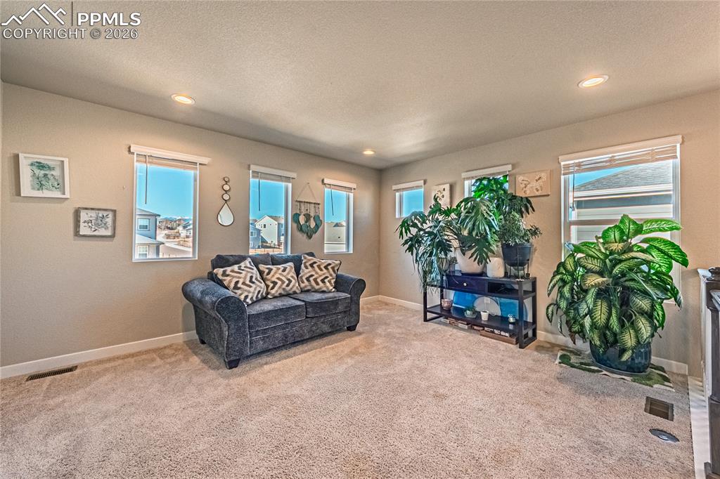 Image 18 of 38: Living Room