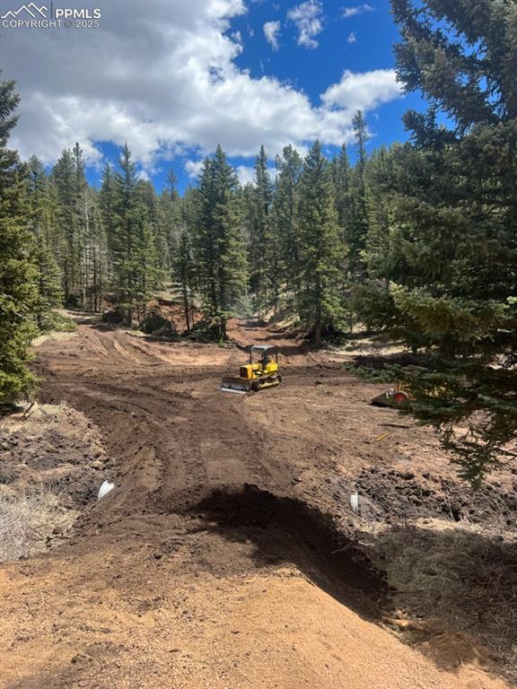 Image 11 of 16: No Description Available