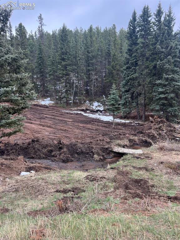 Image 12 of 16: No Description Available