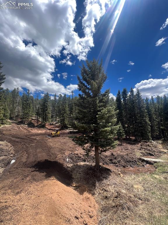 Image 13 of 16: No Description Available