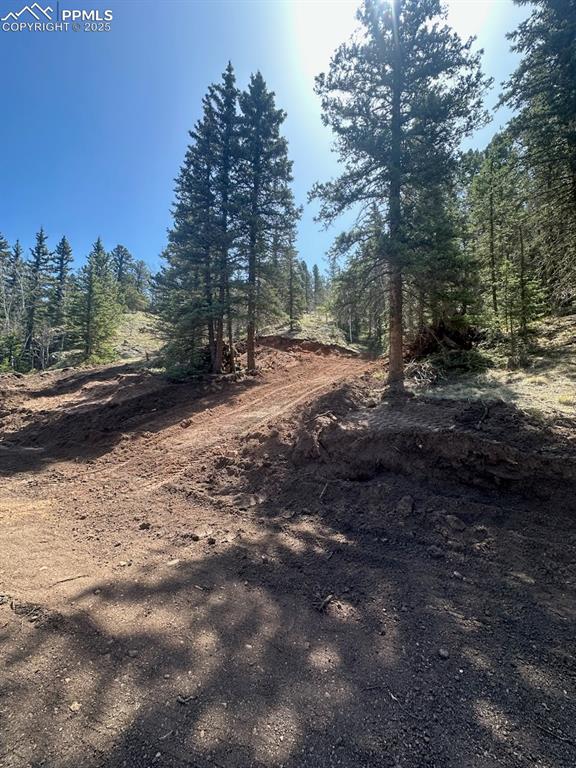 Image 15 of 16: No Description Available