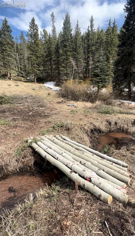 Image 16 of 16: No Description Available