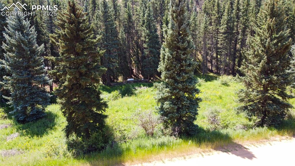 Image 4 of 16: No Description Available