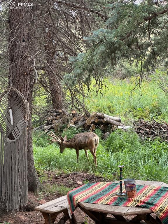 Image 5 of 16: No Description Available