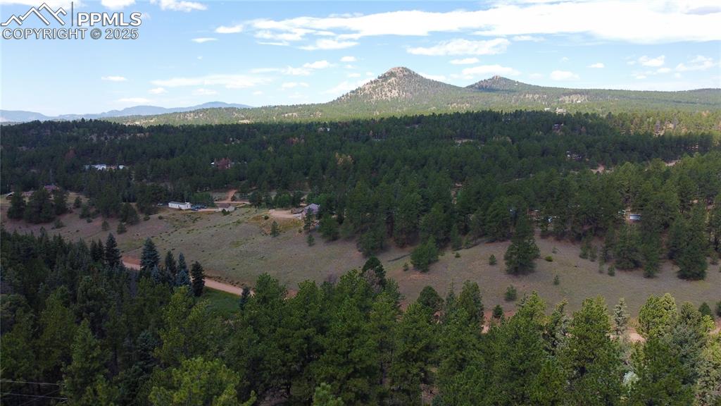 Image 6 of 16: No Description Available