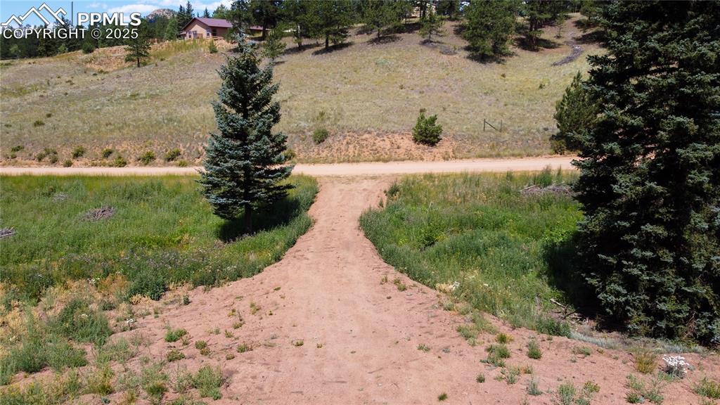 Image 8 of 16: No Description Available