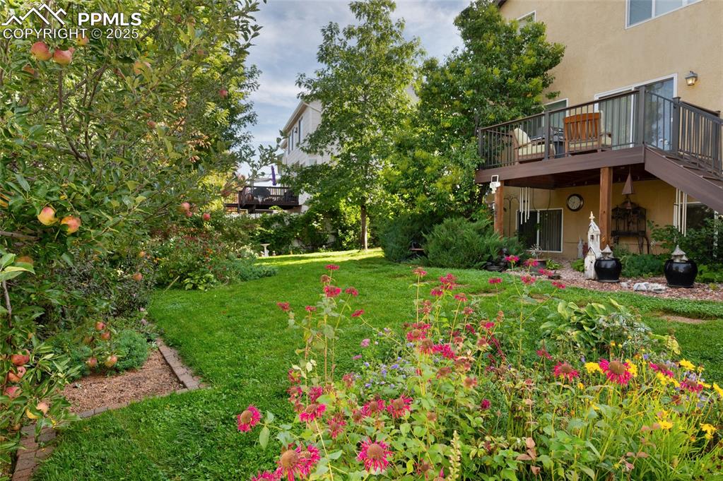 Image 29 of 38: Yard