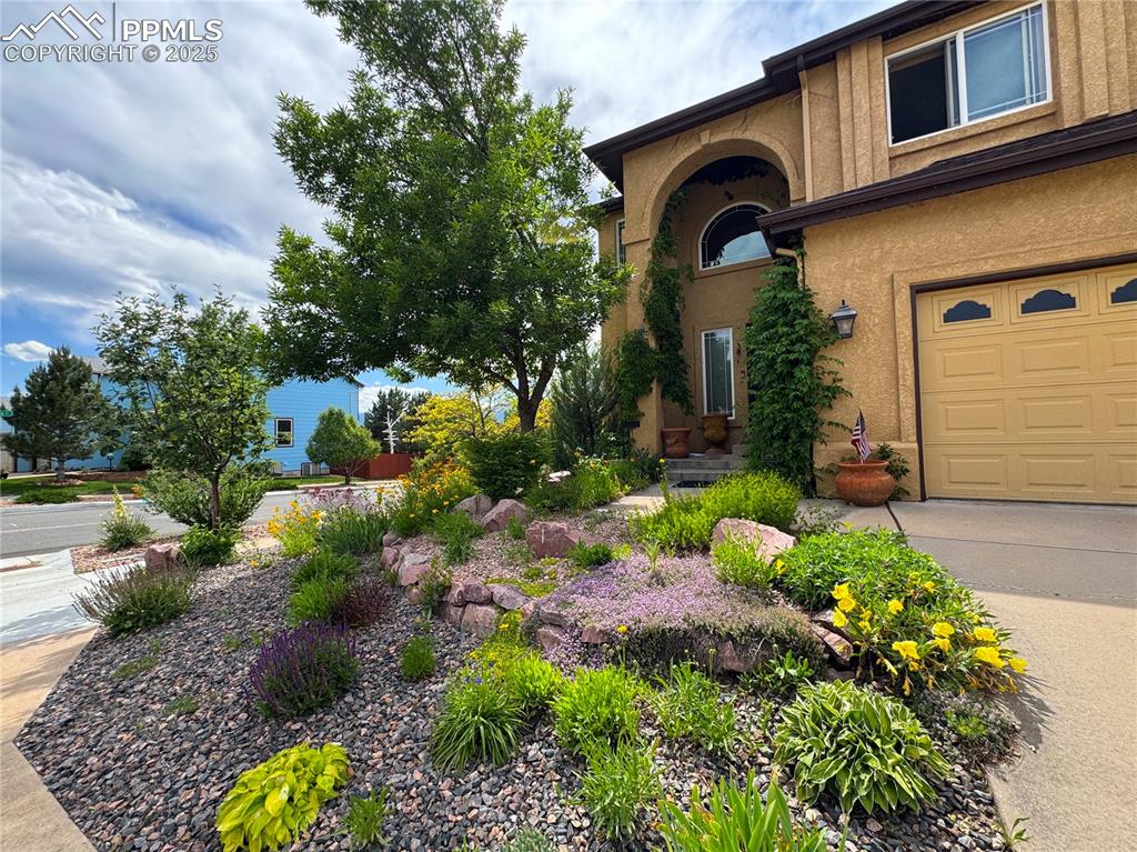 Image 38 of 38: Entry