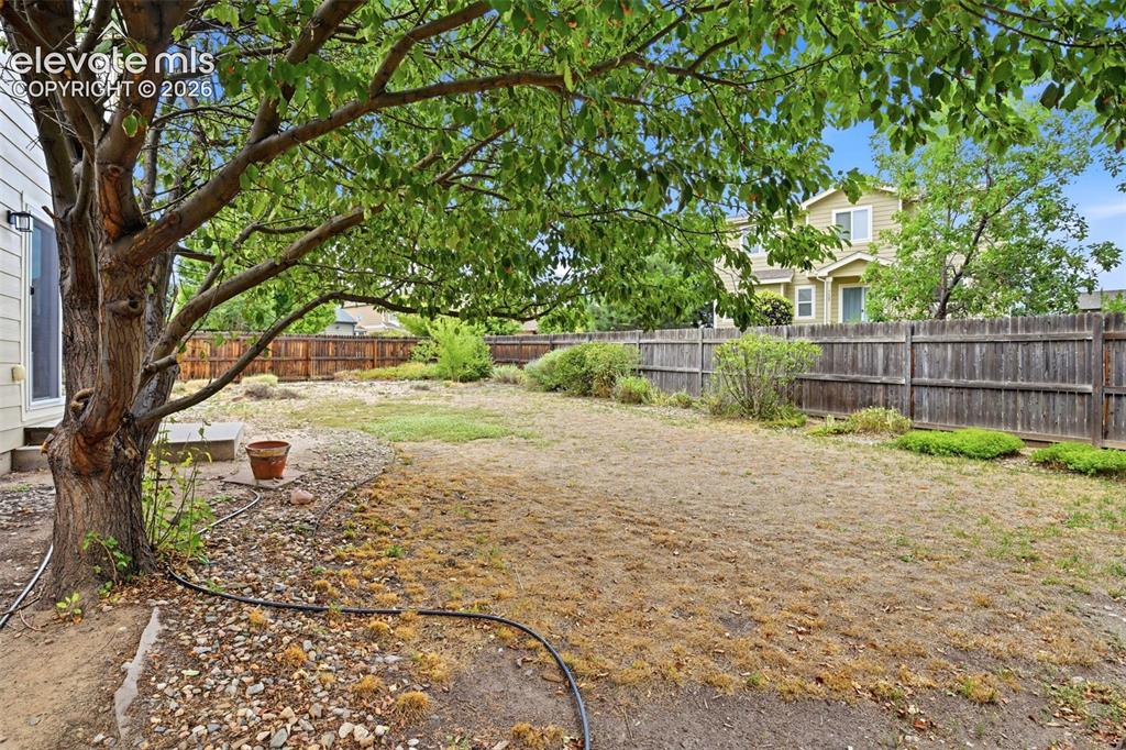 Image 48 of 50: Yard