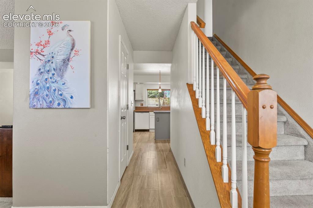 Image 4 of 44: Entrance looking down hallway towards kitchen.