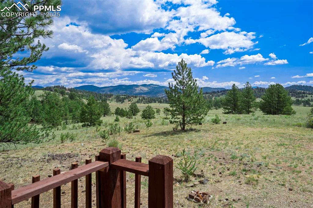 Image 10 of 50: View