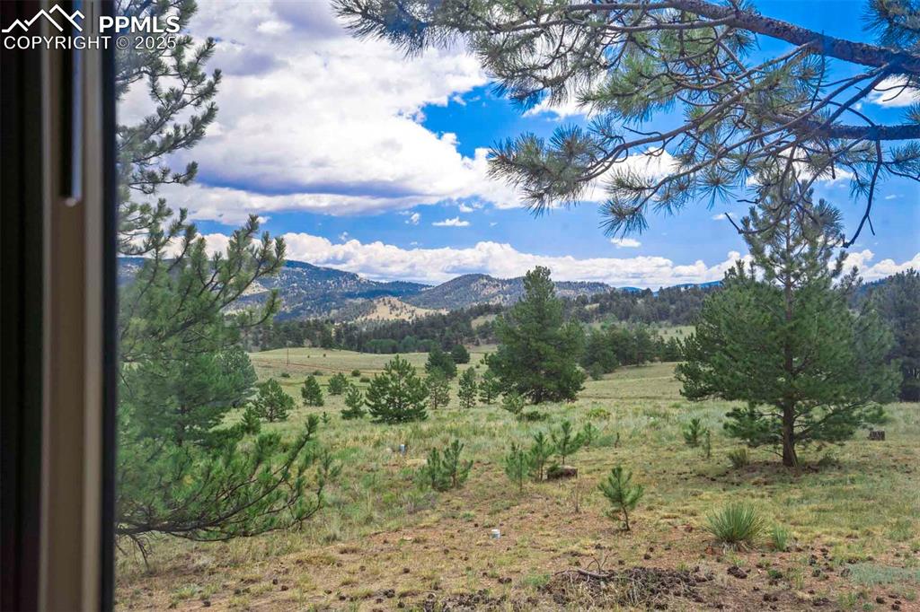 Image 28 of 50: View