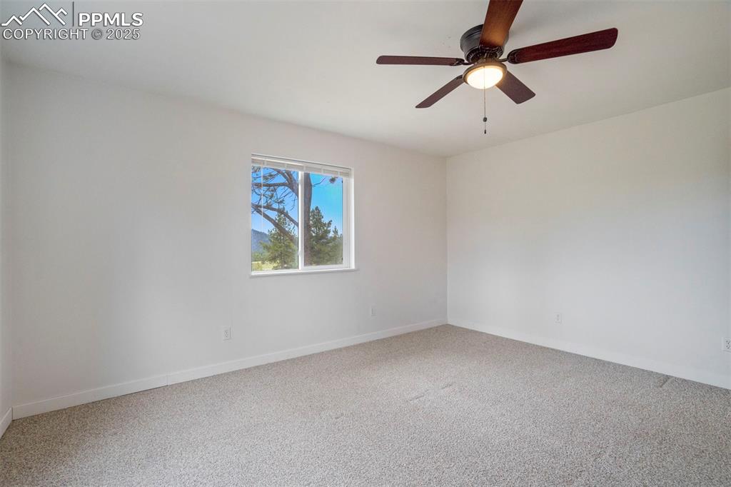 Image 29 of 50: Other