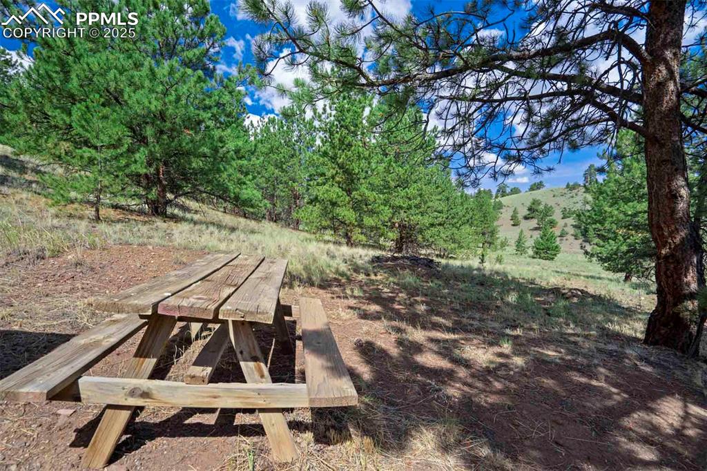 Image 36 of 50: Yard