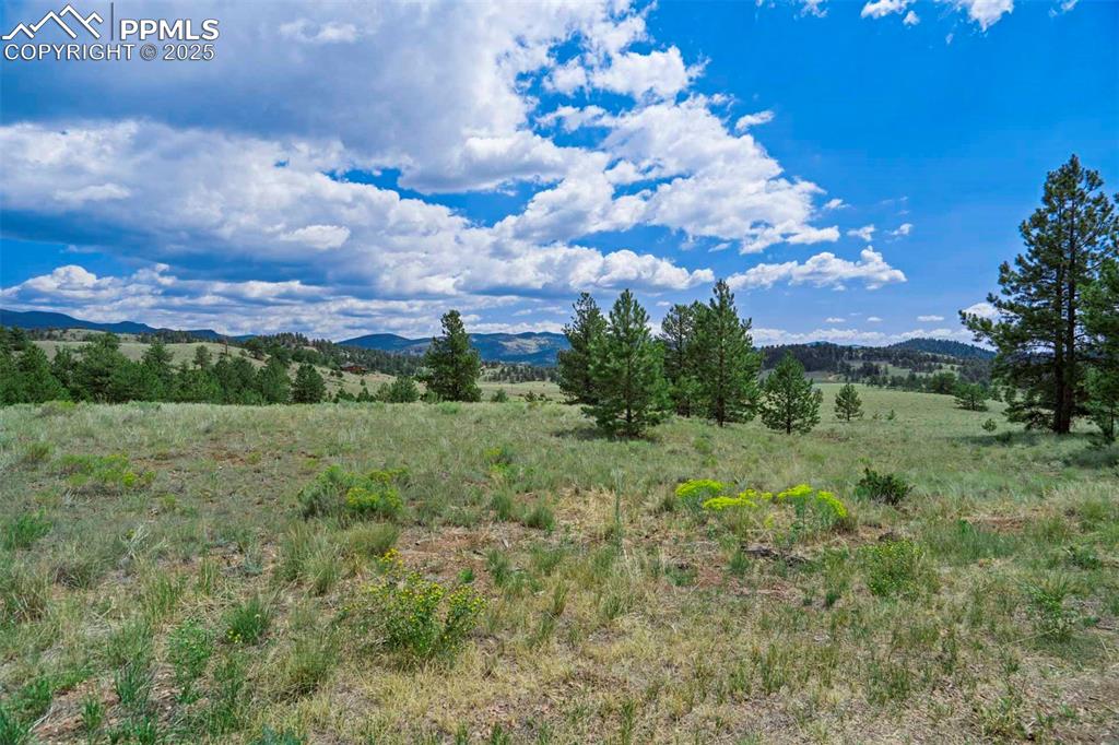 Image 44 of 50: View