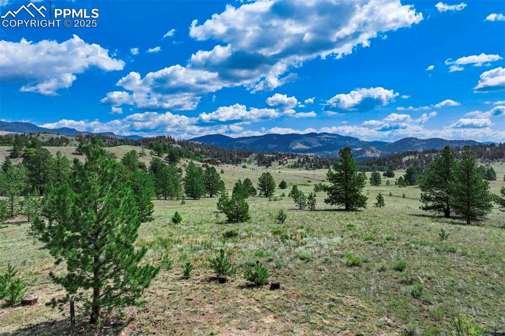 Image 45 of 50: View