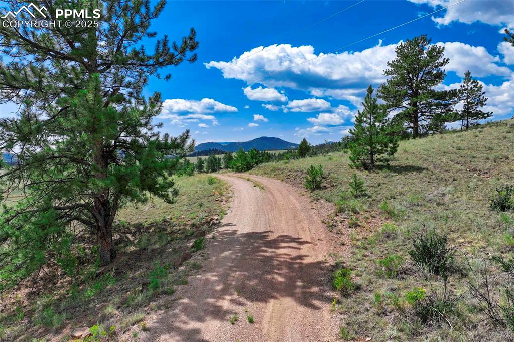 Image 46 of 50: Community