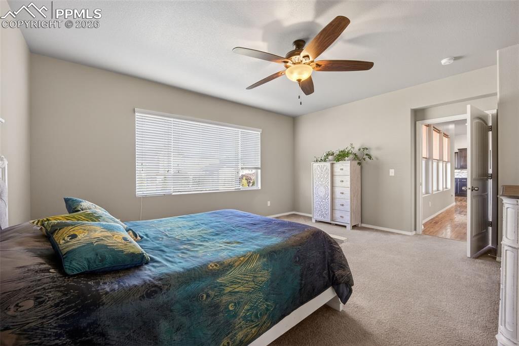 Image 20 of 50: No Description Available