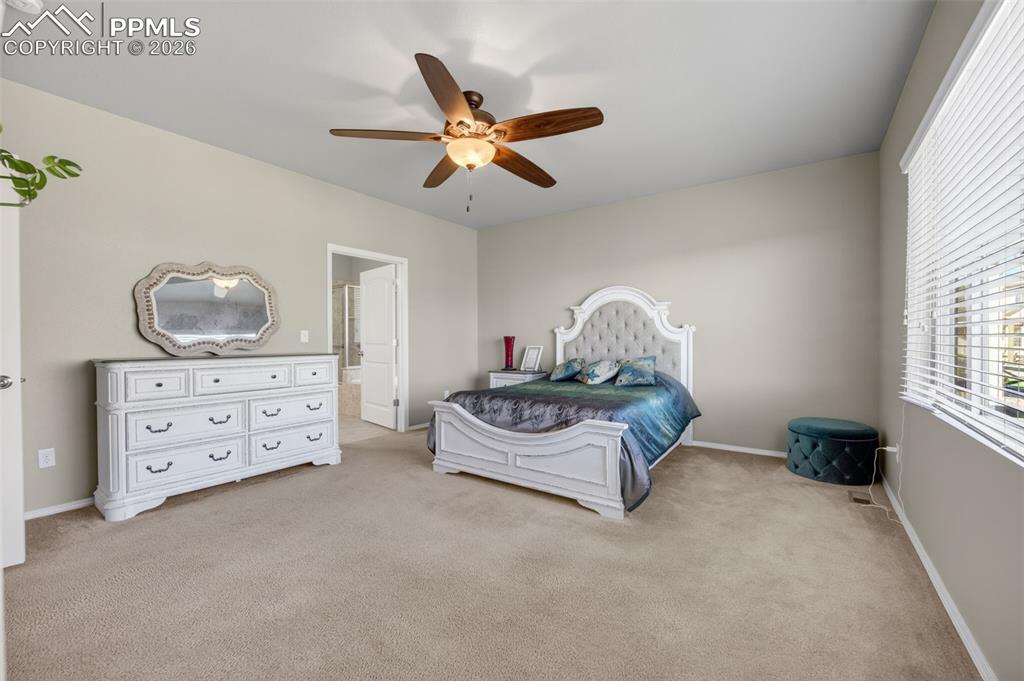 Image 21 of 50: No Description Available