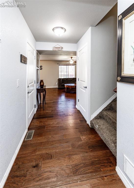 Image 5 of 37: Other