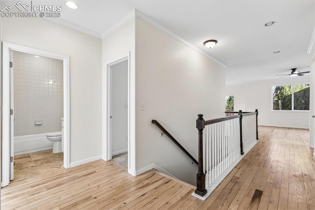 Image 2 of 30: Other