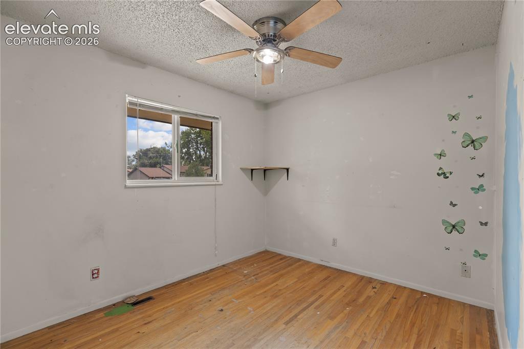 Image 16 of 27: Other