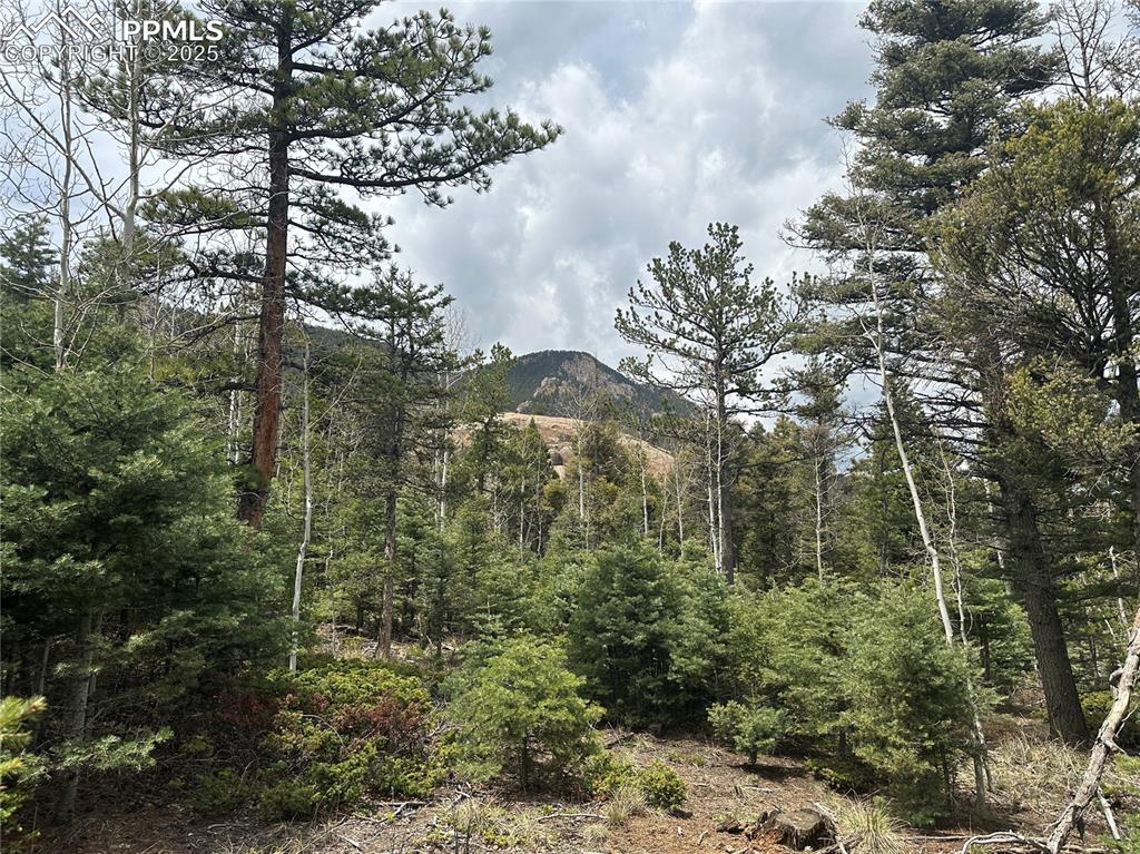 Image 1 of 20: Pavilion Rock and Cameron Cone views from the build site!