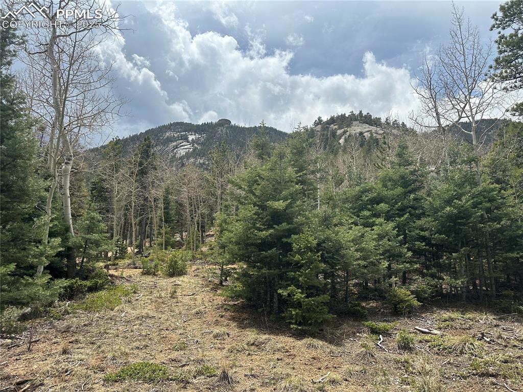 Image 12 of 20: Looking Southwest up the future driveway form the build site