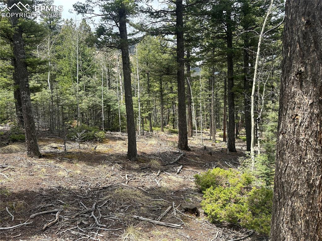 Image 2 of 20: From the build site looking Northeast toward Sunrise Peak and the city belo