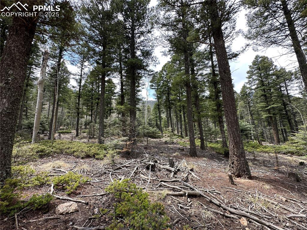 Image 4 of 20: Future back yard of your dream home!