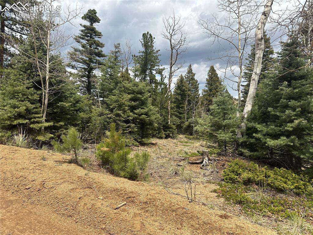 Image 5 of 20: Future driveway leading to the build site