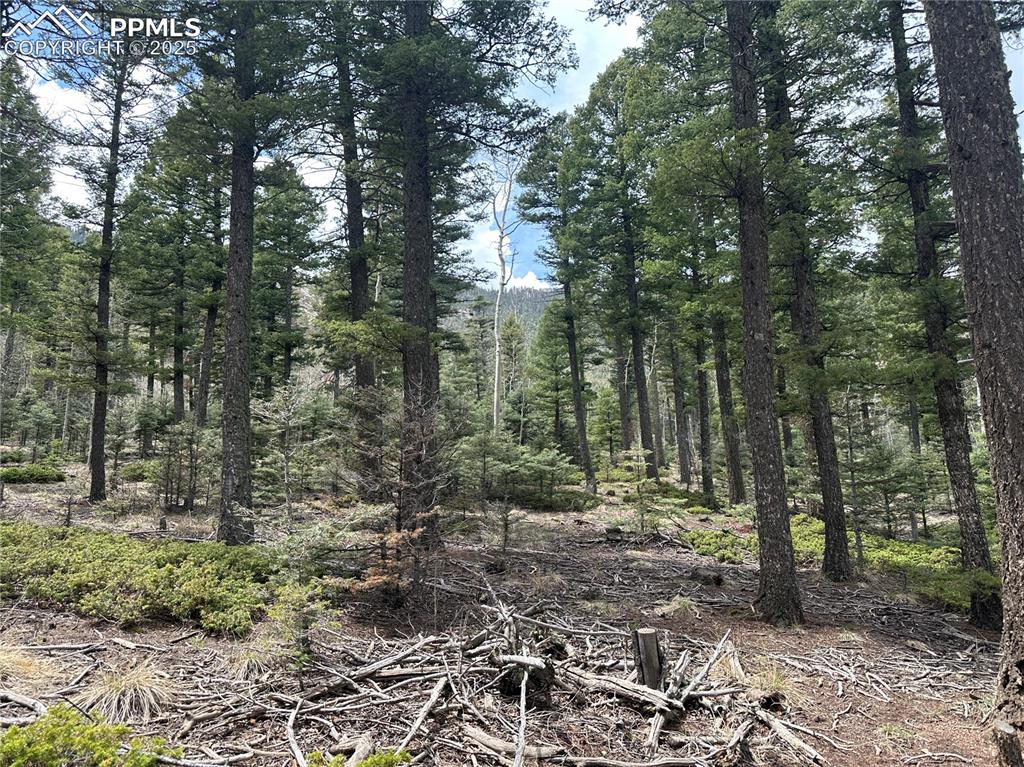 Image 8 of 20: From the East side of the lot looking West