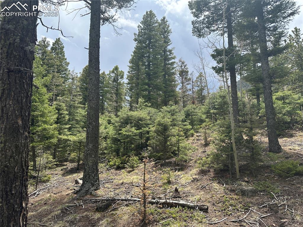 Image 9 of 20: Looking South from the build site