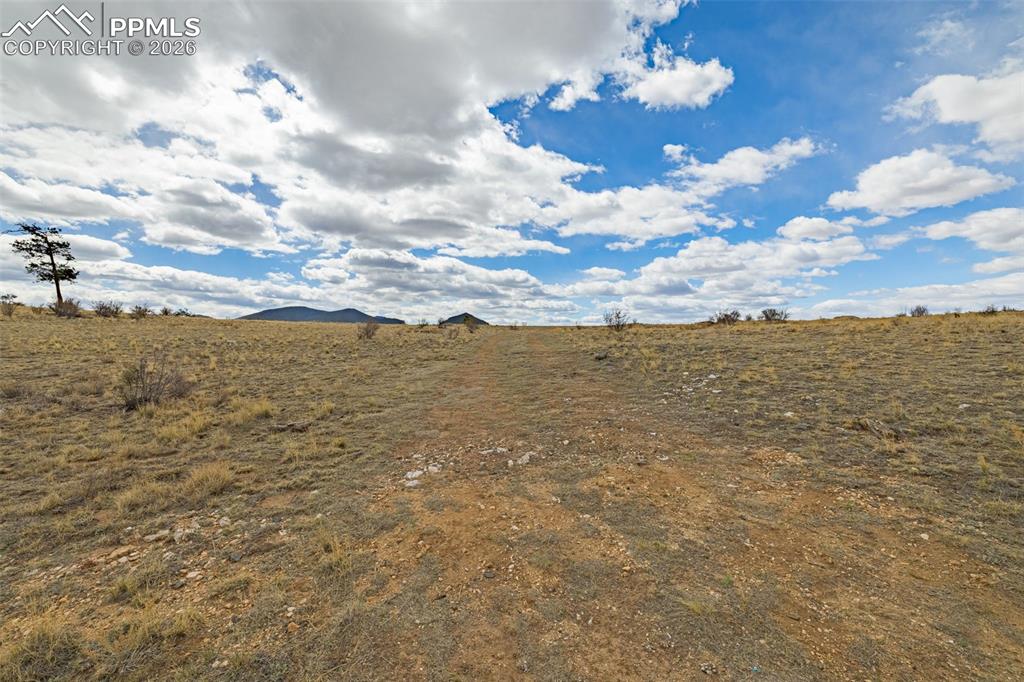 Image 5 of 18: Other