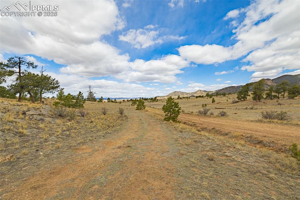 Image 6 of 18: Community