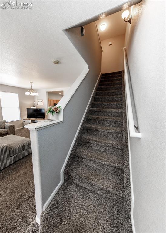 Image 12 of 28: Other