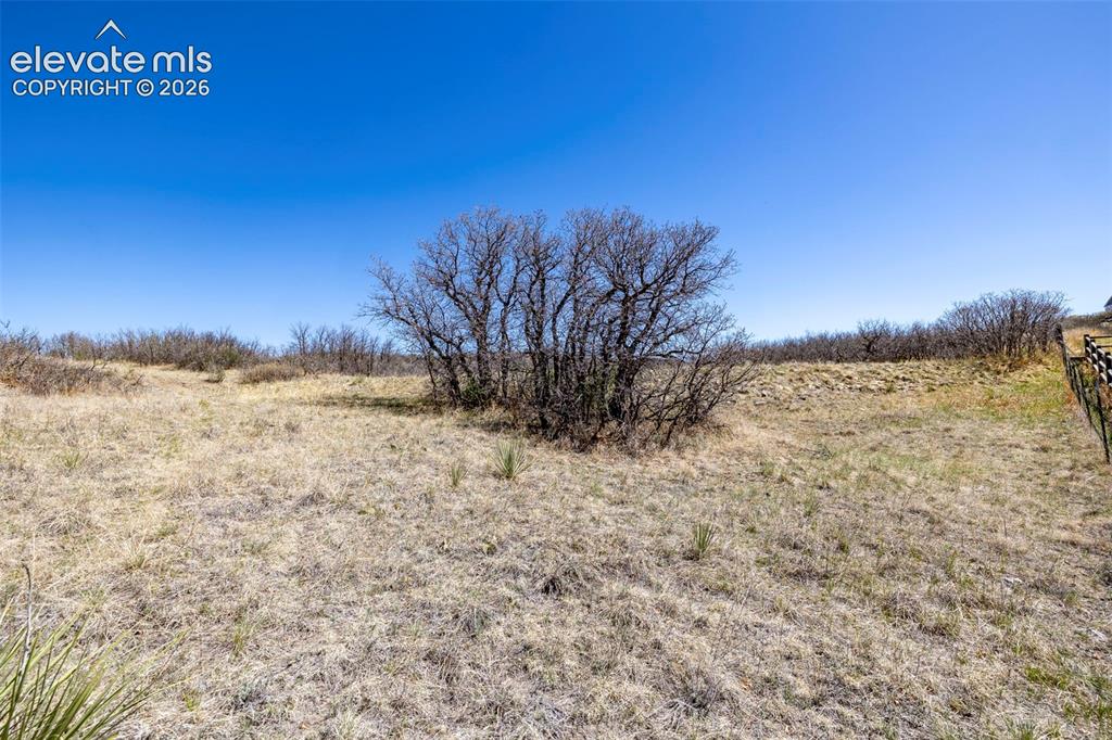 Image 12 of 41: Other