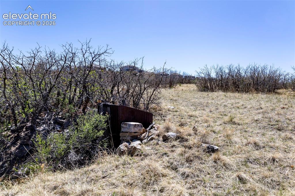 Image 17 of 41: Other