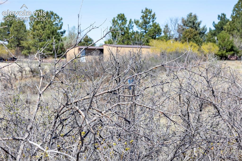 Image 20 of 41: Other