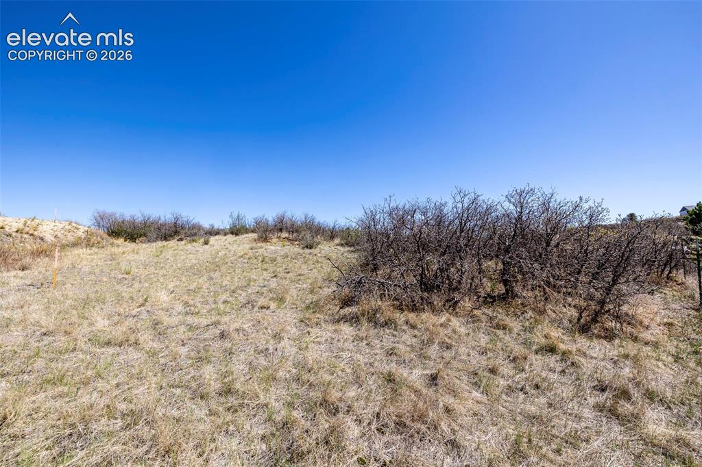 Image 9 of 41: Other